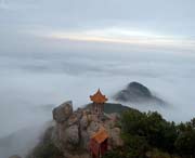临朐后天天气