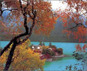 林芝后天天气